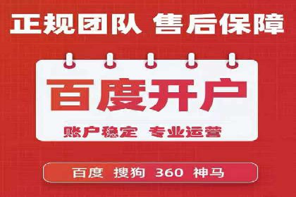 大型企业SEM外包实战案例